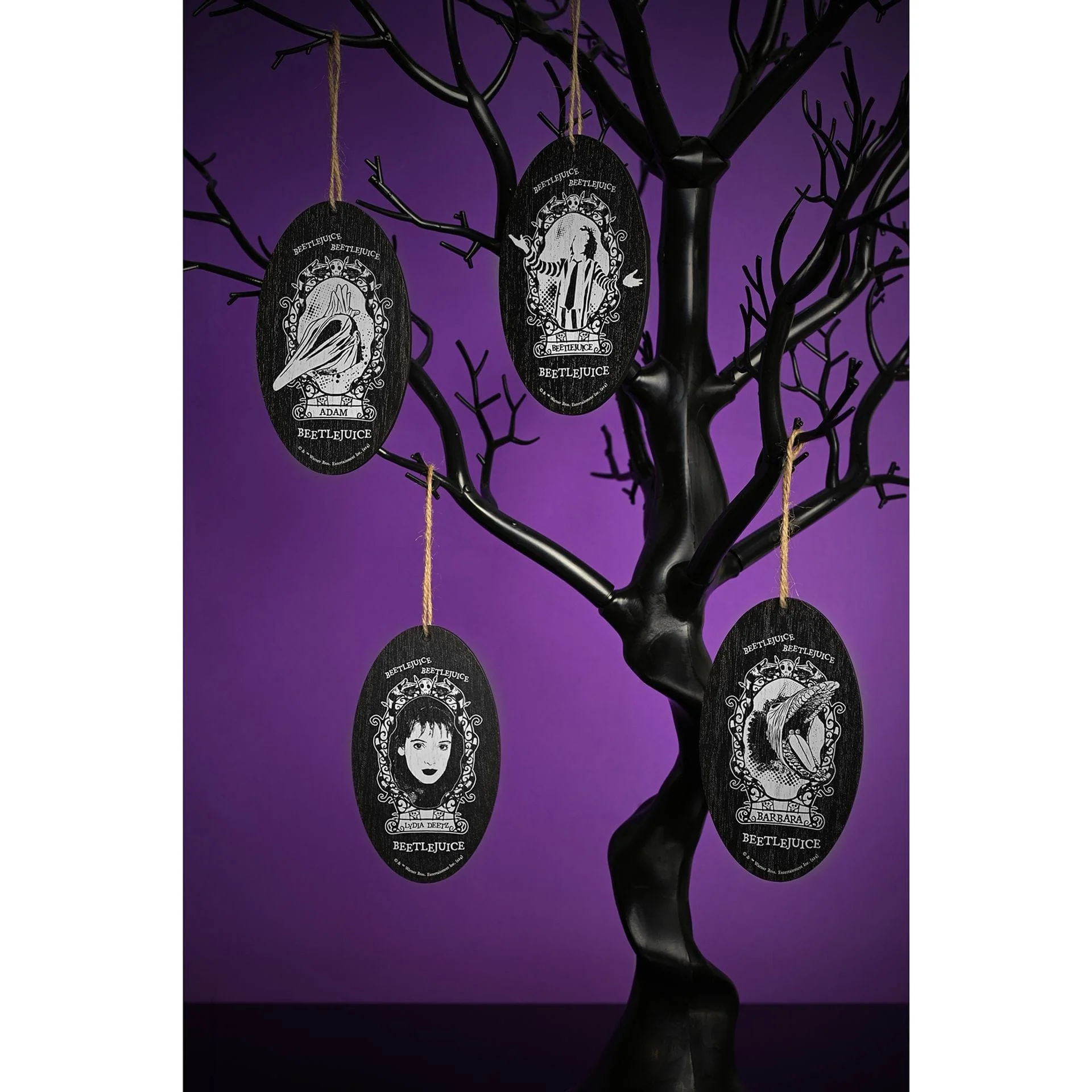 Warner Bros Beetlejuice Oval Hanging Decoration - Barbara Beetlejuice - Image 3