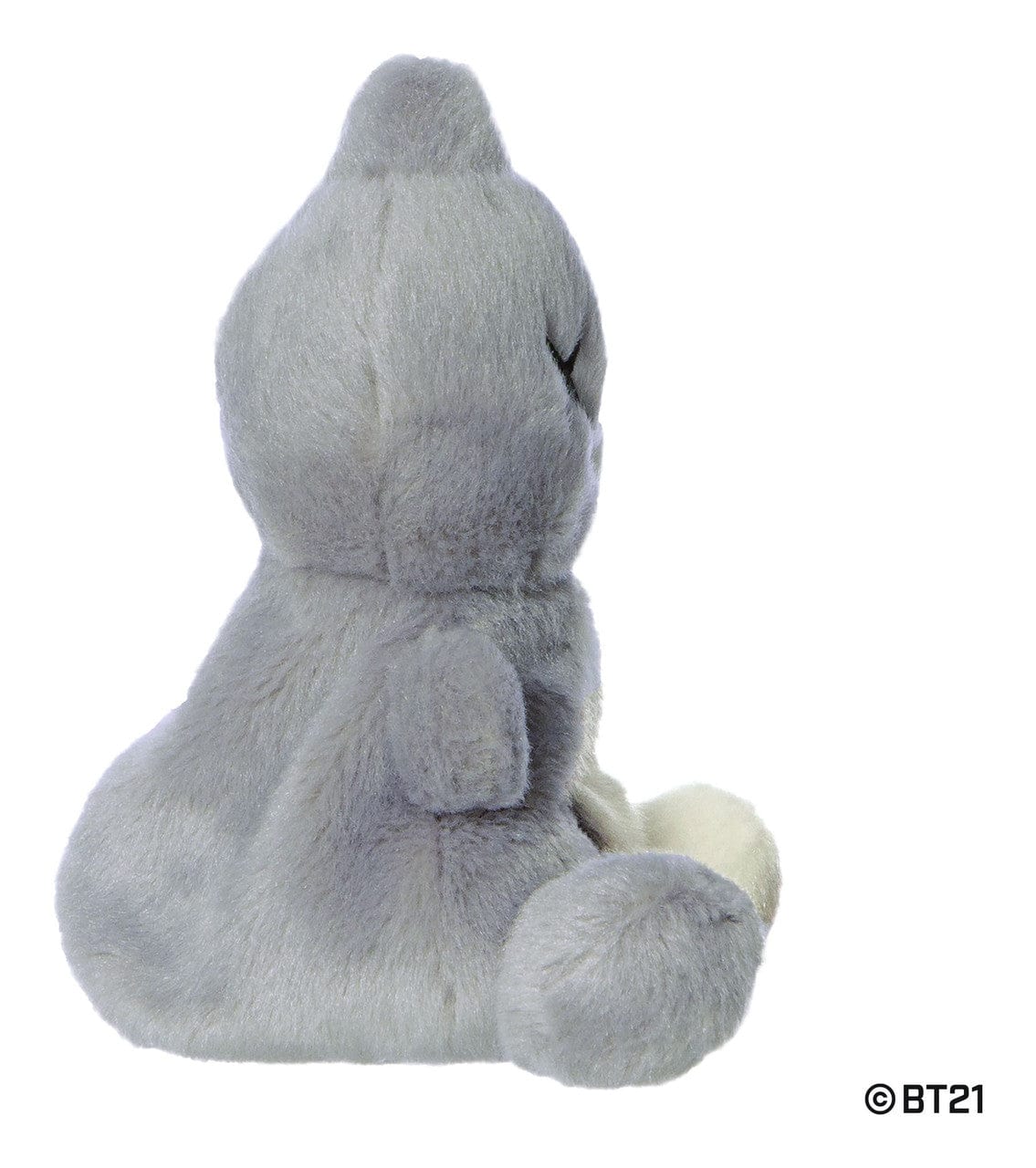 Palm Pals  5” BT21 Van Plush By Aurora World - Image 2
