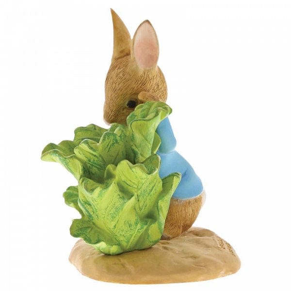 Peter Rabbit with Lettuce - Image 2