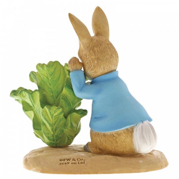 Peter Rabbit with Lettuce - Image 3