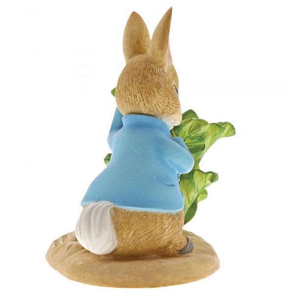 Peter Rabbit with Lettuce - Image 4