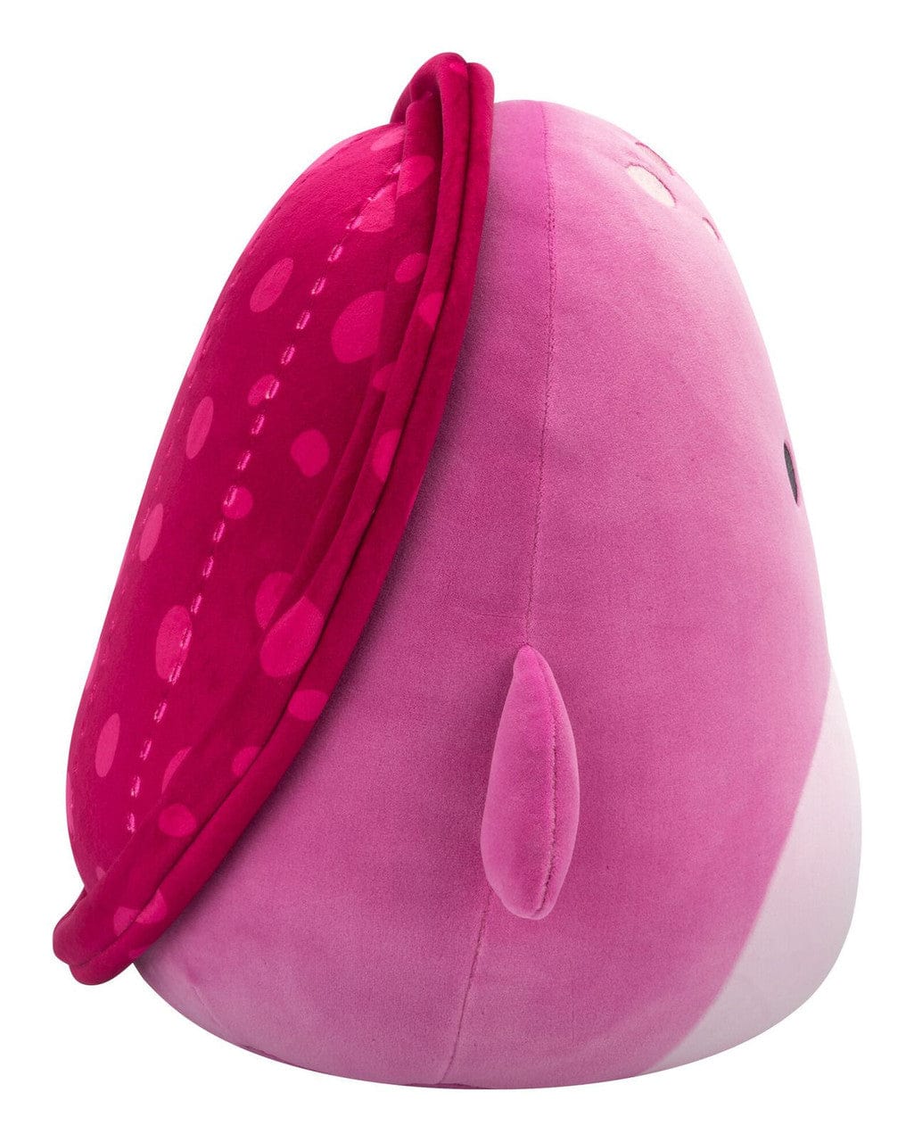 Squishmallows 12” Tudor the Maroon Turtle - Image 2